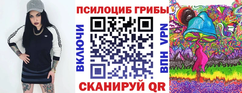 Псилоцибиновые грибы Cubensis  Кашира 
