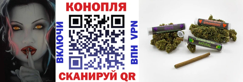 Бошки марихуана семена  закладки  Кашира 
